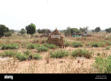 Traditional Village Scene In Niger With Farmland And Housing Stock