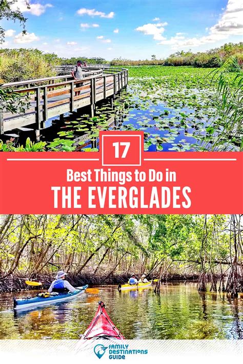 17 Best Things To Do In The Everglades Fl For 2024