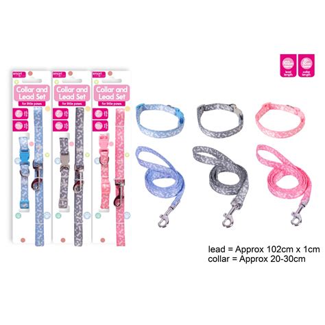 Smart Choice Small Dog Puppy Leadcollar Set 3 Assorted Colours