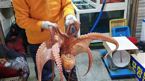 Korean Street Food Giant Octopus Seafood In Pohang South Korea Youtube