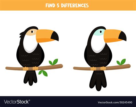 Find 5 Differences Cute Cartoon Toucans Game Vector Image