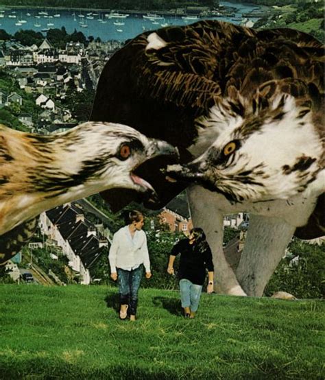 Wat een indrukwekkende vlucht van deze amerikaanse zeearend. Pin op David Delruelle collages