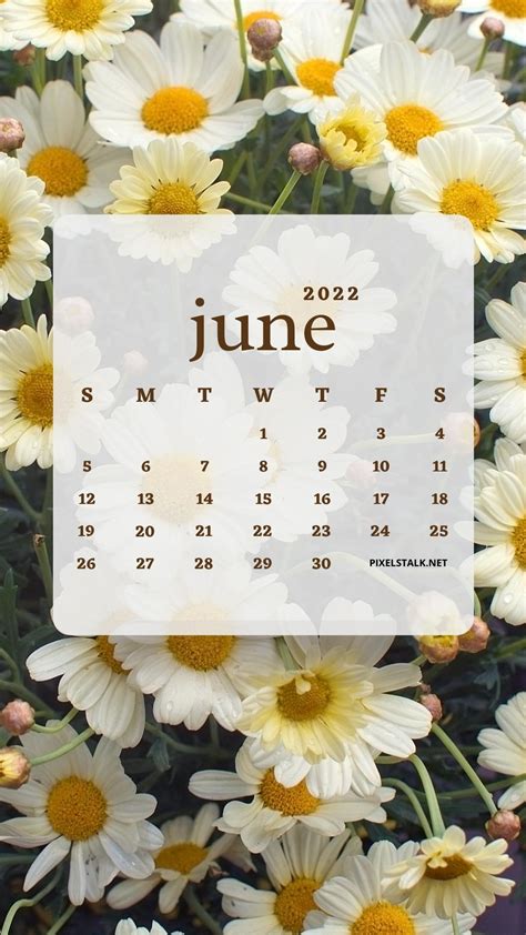 Update More Than 70 June Calendar Wallpaper 2022 Incdgdbentre