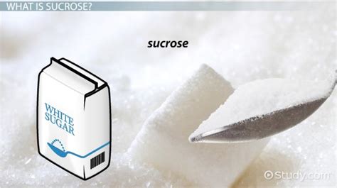 Sucrose Definition Formula And Function Video And Lesson Transcript