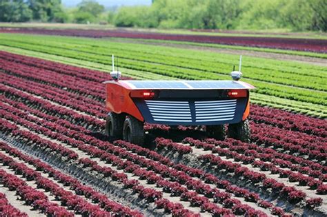 Pregon Agropecuario La Alta Tecnología Al Servicio De La Agricultura