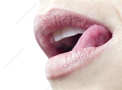 Woman Licking Her Lips Stock Image F0039344 Science