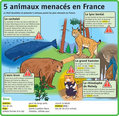 Animaux En Danger Ma 20 21