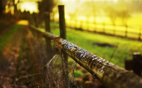 3840x2160 Resolution Selective Focus Photography Of Fence Depth Of