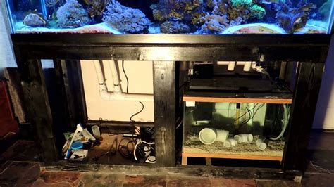 How Much Does My 210 Gallon Reef Tank With Basement Sump Cost