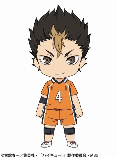 Chibi Noya Haikyuu Anime Noya Haikyuu Haikyuu Nishinoya