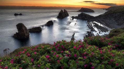 Oregon Coast Sky Rocks Sunset Wildflowers Sea Usa Hd Wallpaper