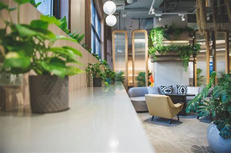 Biophilic Lighting And Design Benefits Of Biophilia In Your Home Or