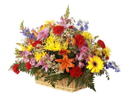 Collection by m a • last updated 1 hour ago. Firenze Flora: Mixed Flowers Basket Arrangement