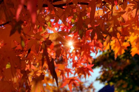 Ask vancouverbest of vancouver 2019 edition (self.vancouver). 5 Cozy Ways to Celebrate the Autumn Equinox - Inside ...