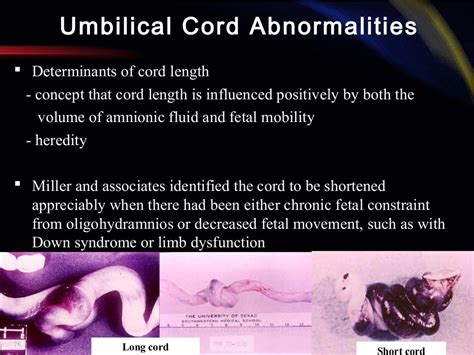 Abnormalities Of The Placenta Umbilical Cord And Membranes