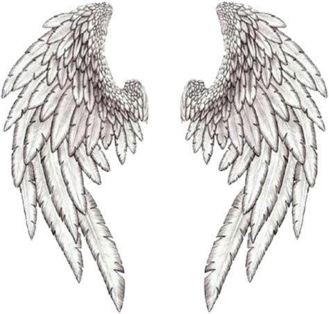 Angel Wings Png Angel Wings Drawing Angel Wings Tattoo Wings Art My