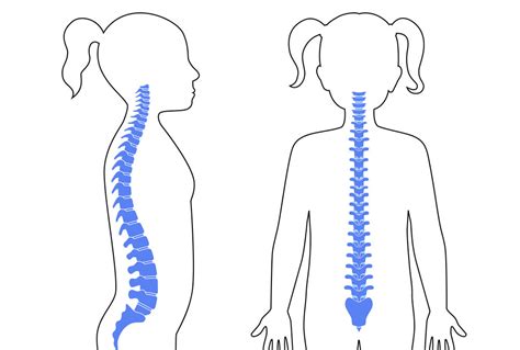 How To Keep Your Spinal Discs Healthy