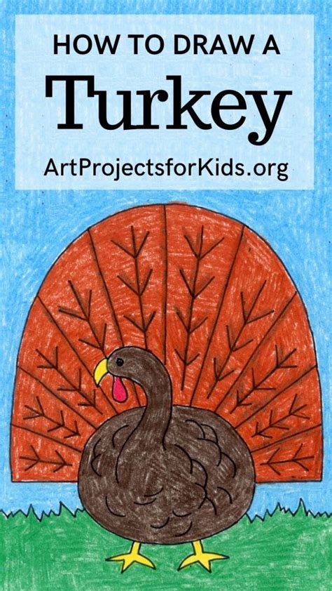How To Draw A Turkey · Art Projects For Kids Turkey Art Thanksgiving
