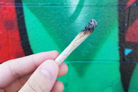 What Is A Pinner Joint And How To Roll One Potguide