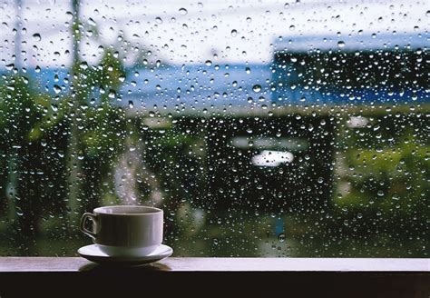 Activities For A Brighter Rainy Day While Trailer Camping