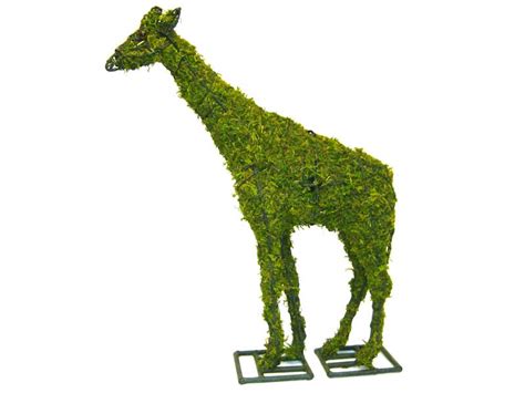 Mossed Giraffe Topiary 73 X 60 X 15