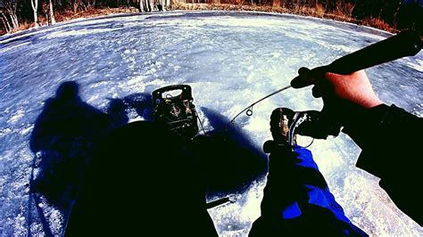Over 200 Trout Salida Colorado Ice Fishing 1252020 Youtube