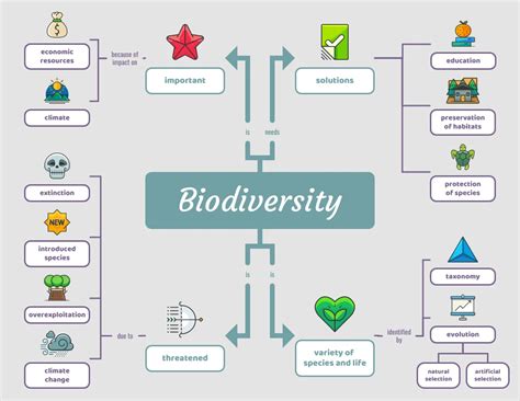 Simple Biodiversity Biology Concept Map Template Venngage