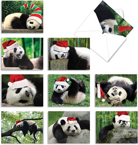 Boxed Set Of 10 Holiday Pooped Pandas Blank Christmas