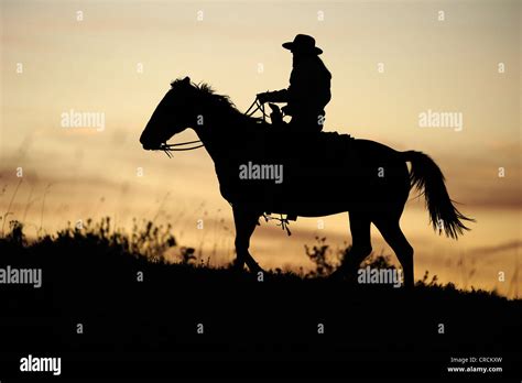 Cowboy Riding Into Sunset Hi Res Stock Photography And Images Alamy