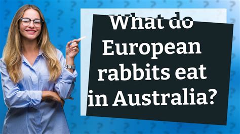 What Do European Rabbits Eat In Australia Youtube