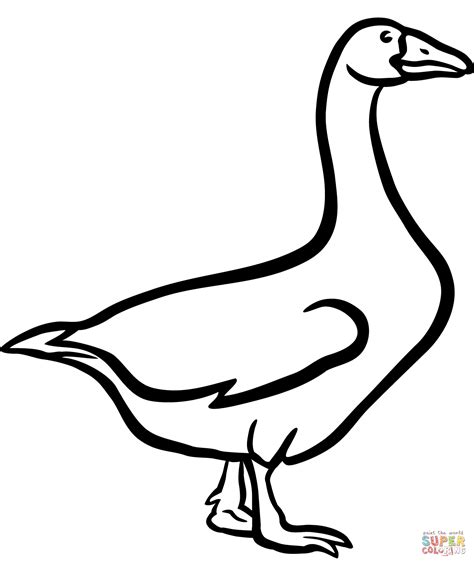 Domestic Goose Coloring Page Free Printable Coloring Pages