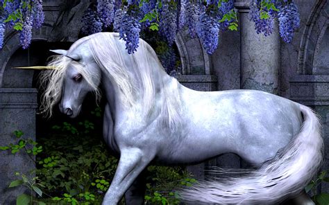 Free unicorn wallpapers for laptops. Unicorn - Wallpaper, High Definition, High Quality, Widescreen