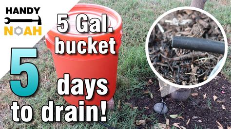 Diy 5 Gallon Bucket Gravity Drip Irrigation System For Trees Or