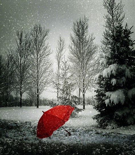 Red Umbrella Winter Scene Red Winter Whispers Invierno