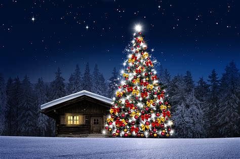 Fotos Von Natur Weihnachtsbaum Schnee Wälder Nacht Gebäude