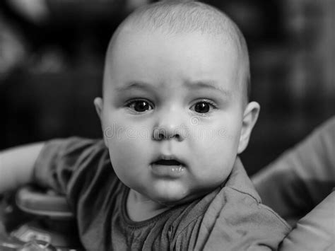 Black And White Close Portrait Of Baby Boy Stock Photo Image Of