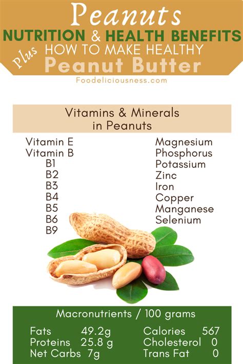 Peanuts Nutrition And Health Benefits Foodeliciousness