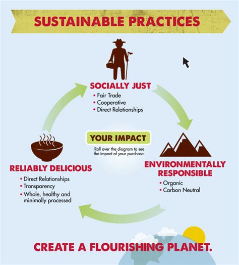 Sustainable Practices Infographic Alter Eco © Sustainability