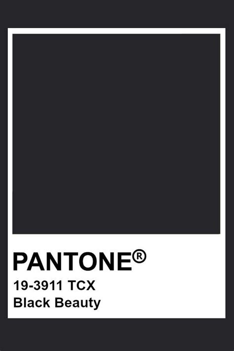 Pantone Black Beauty Pantone Colour Palettes Pantone Palette