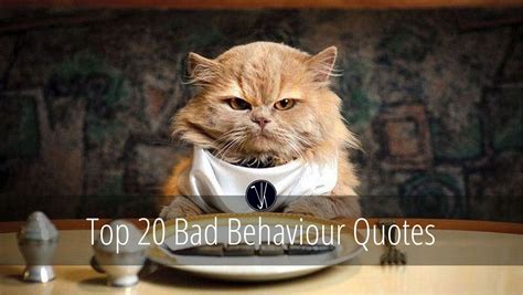 Top 20 Bad Behaviour Quotes And Sayings Mr Jk Quotes