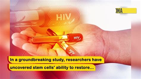 Research Provides Roadmap To Hiv Eradication Via Stem Cell Therapy