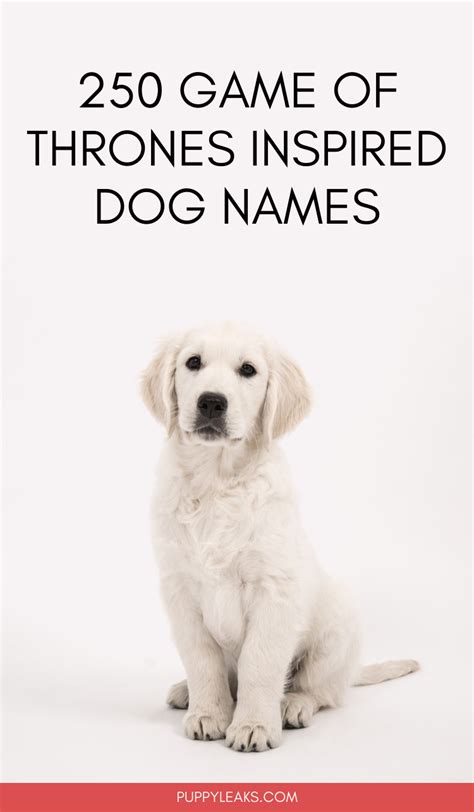250 Game Of Thrones Inspired Dog Names Laptrinhx News