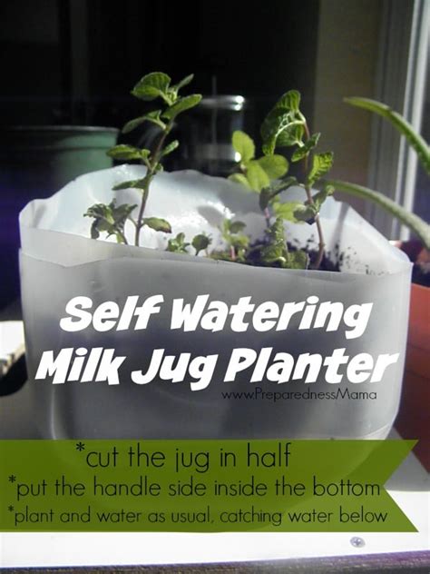 5 Ways To Recycle A Milk Jug In The Garden Preparednessmama