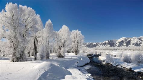 Frozen River Beautiful White Winter Landscape