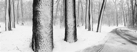 Snowy Road In Wintry Forest Stock Image Image Of Wooded Wintry 4095727