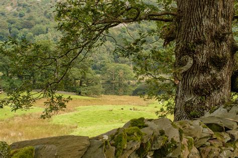10 Things To Do In The Lake District National Park Hawthorns Park