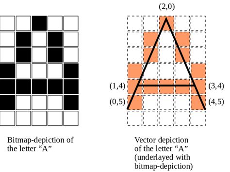 What Is The Difference Between Bitmap And Vector Pediaacom