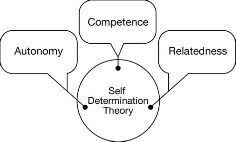 Three Components Of Self Determination Theory Download Scientific Diagram