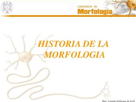Ppt Historia De La Morfologia Powerpoint Presentation Free Hot Nude
