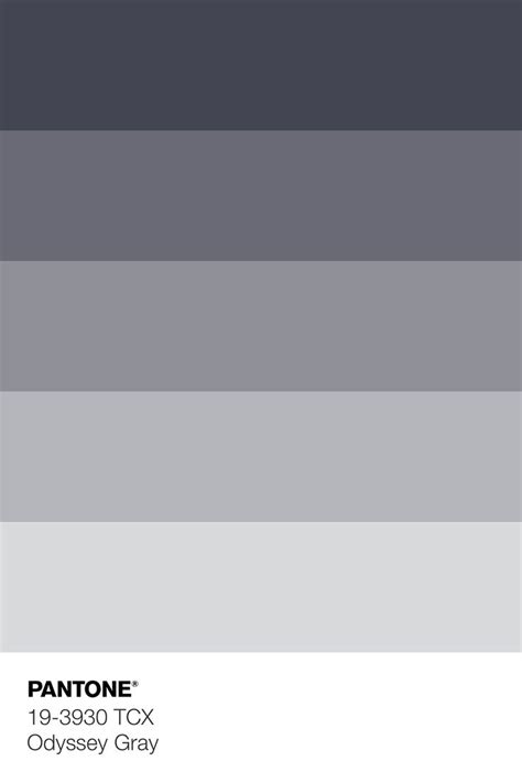 Pantone 19 3930 Tcx Odyssey Gray Color Tint Pantone Colour Palettes